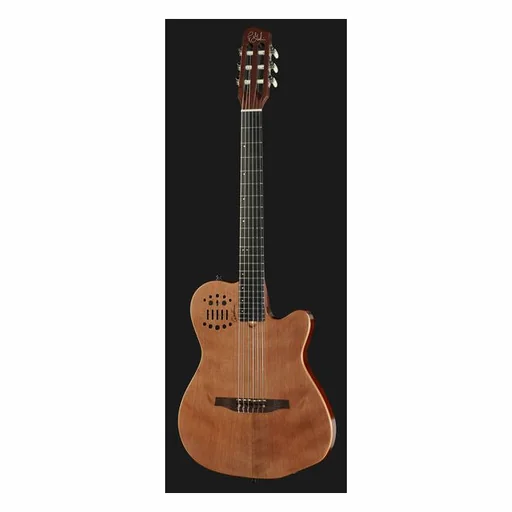 Godin ACS Nylon detail 2