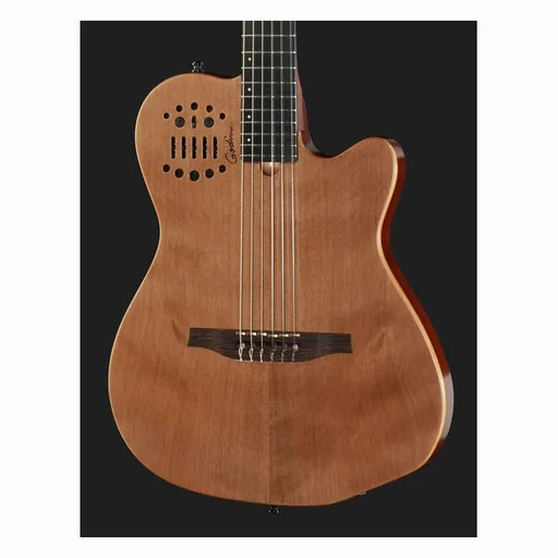 Godin ACS Nylon detail 5