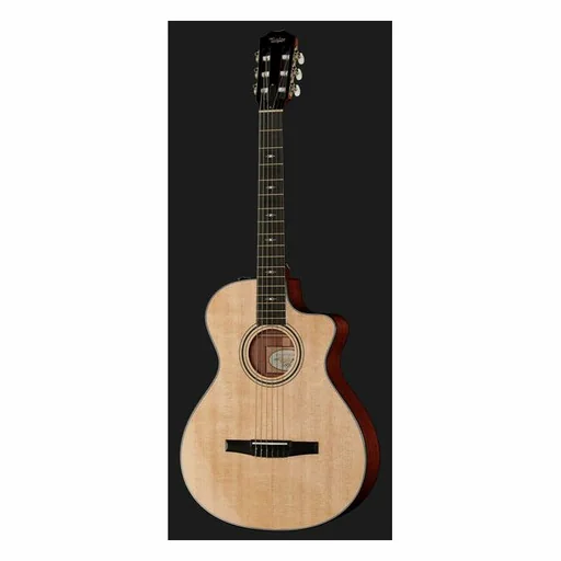 Taylor 312ce-N Nylon detail 2