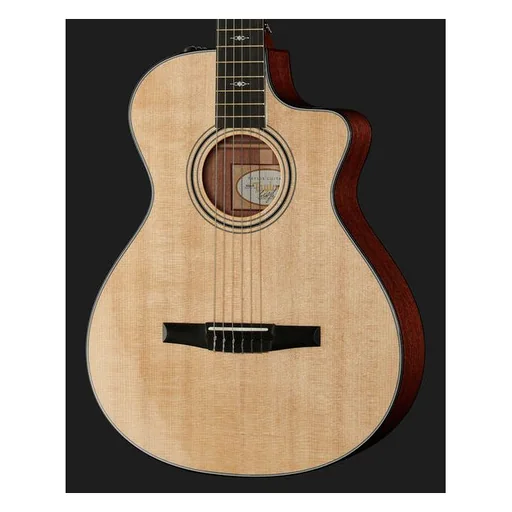 Taylor 312ce-N Nylon detail 4
