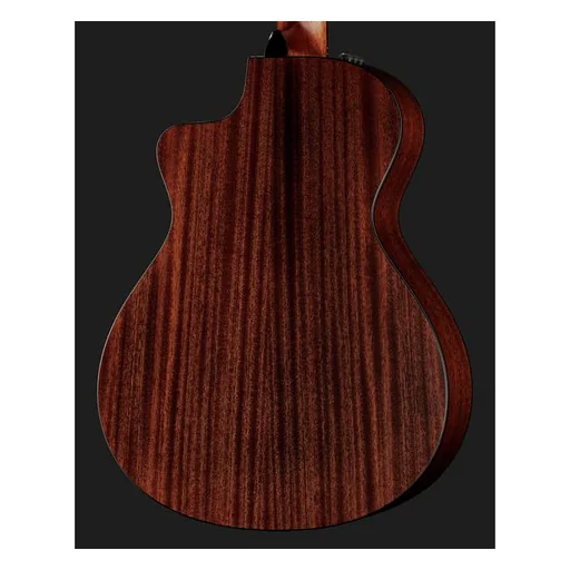 Taylor 312ce-N Nylon detail 5