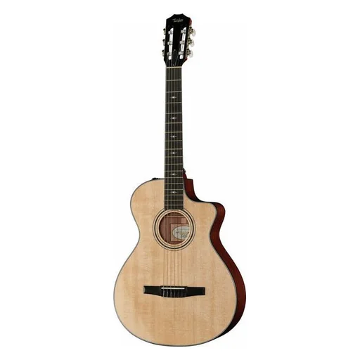 Taylor 312ce-N Nylon vooraanzicht